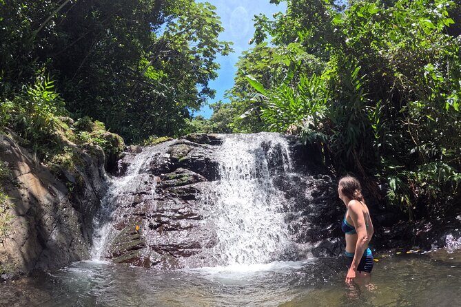Full Day Waterfalls of Puerto Rico: Central Mountains Escape - Explore Puerto Rico’s Mountain Waterfalls in Comfort