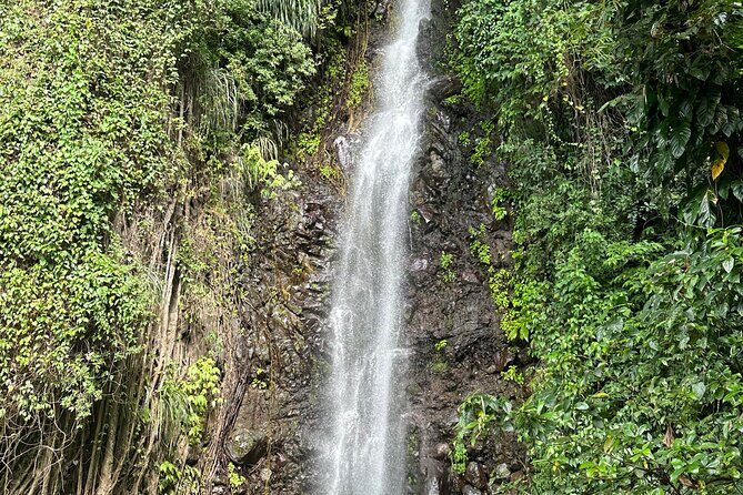 Fun and Exhilarating Experience at Dark View Falls - Authentic Insights from Travelers