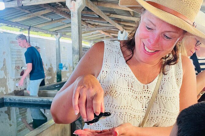 Galle Day Tour with Turtle Hatchery & River Boat Safari - Why Choose This Tour?