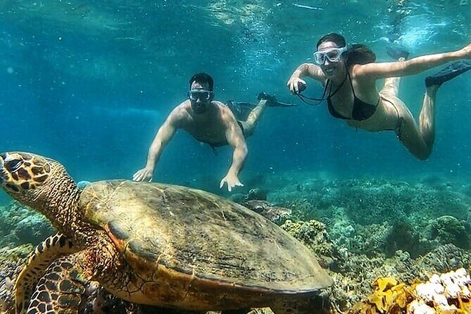 Gili Air : Private Snorkeling with 4 spots - The Glass-Bottom Boat Experience