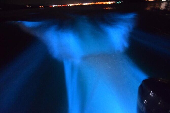 Glow with the Flow: A Romantic Night at the Luminous Lagoon) - How Does It Value for Money?