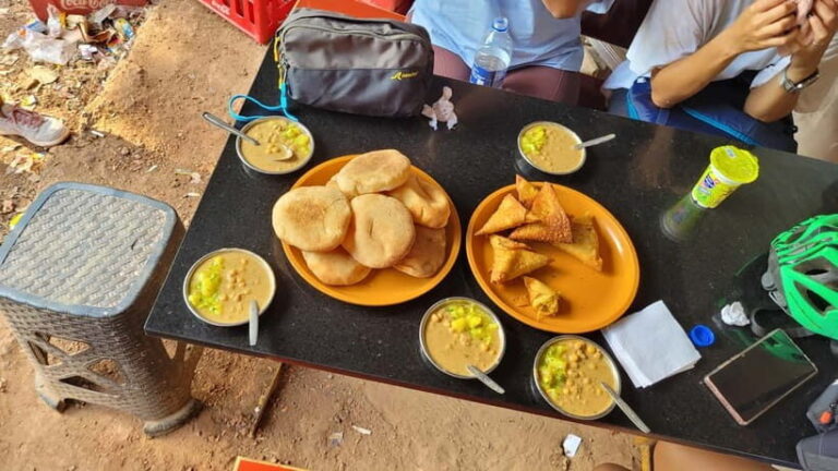 Goa: Chorao Island E-Bike guided Tour veg breakfast included - Who Will Enjoy This Tour?