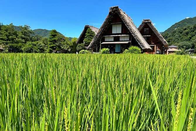 Gokayama and Shirakawago (UNESCO Heritage) Small Group(Max 9) - Who Will Appreciate This Tour?