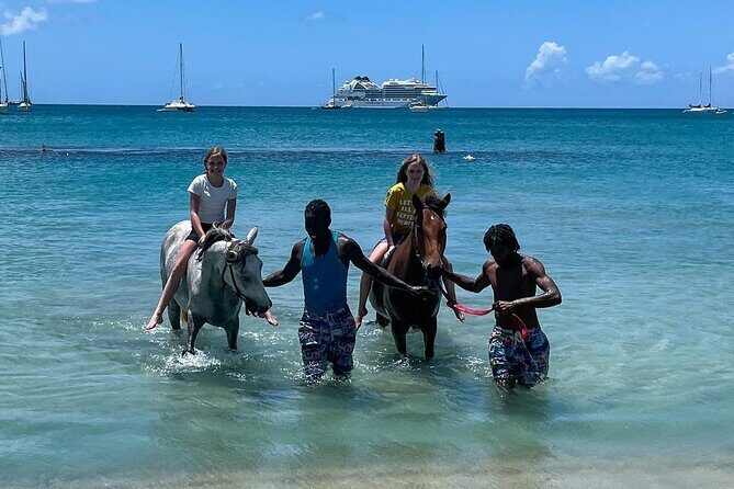 Gros Islet Village Horseback Riding run with Dore's riding Stable - Authenticity and Customer Experience