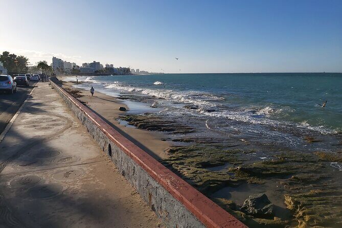 Group Transportation in airport, cruise ships, hotels, bnb's in San Juan, PR - What Do Past Travelers Say?