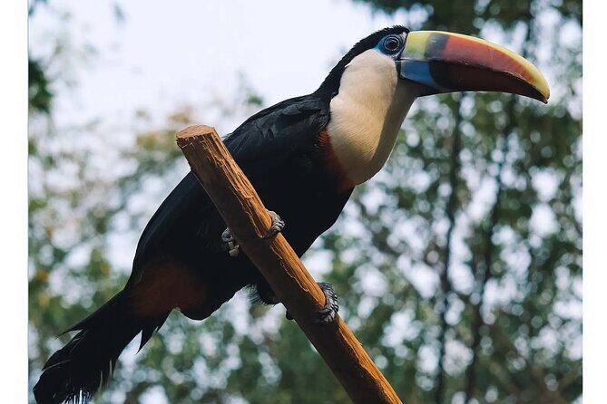 Guangzhou Private Safari Tour with Ride - Final Thoughts: Is This Tour Worth It?