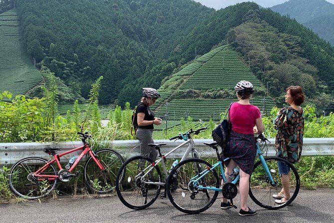 Guided Bike Tour to a Green Tea Farm in Shizuoka (not e-bikes) - The Itinerary in Detail: What to Expect