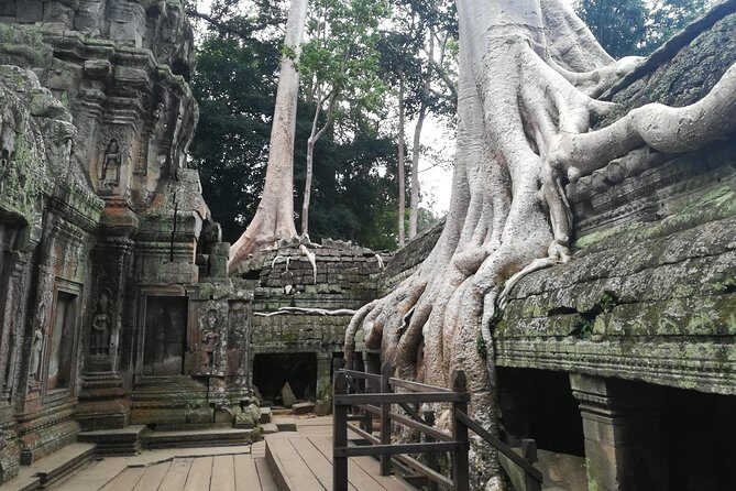 Half Day Angkor Wat Sunrise Private Tour - Transportation and Logistics