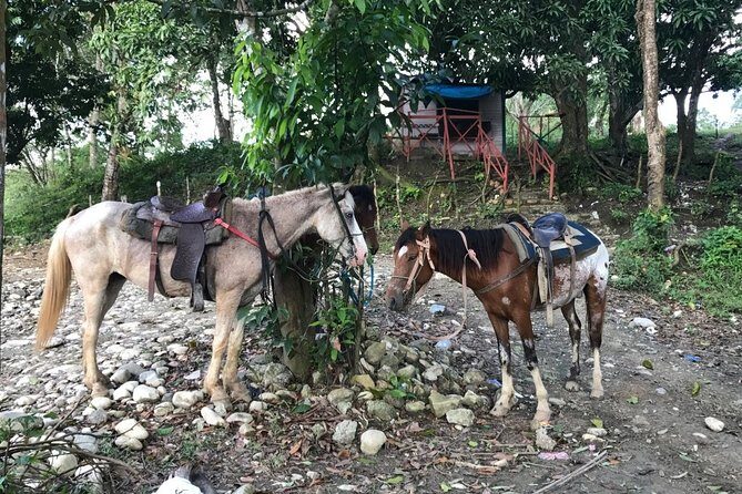 Half-Day Mountain Ride in Puerto Plata - Who Should Consider This Tour?