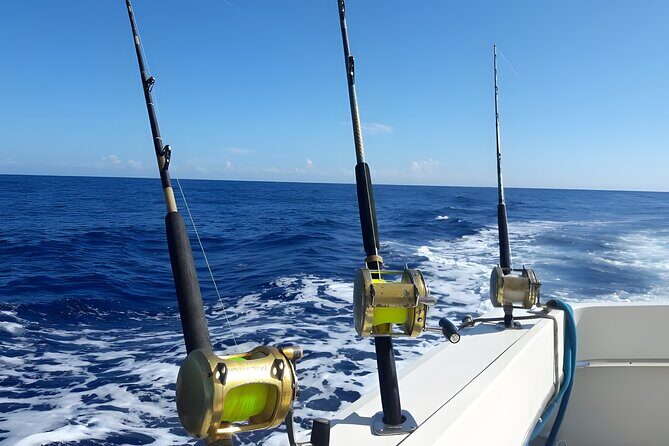 Half Day Sport Fishing Excursion Departing from Sosua - Who Will Appreciate This Tour?
