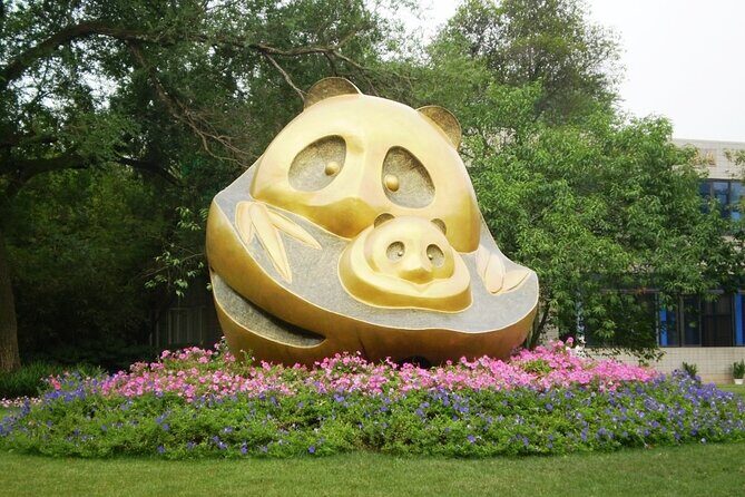 Half-Day Tour at Chengdu Panda Breeding Research Base - Authentic Experiences Versus Practicality