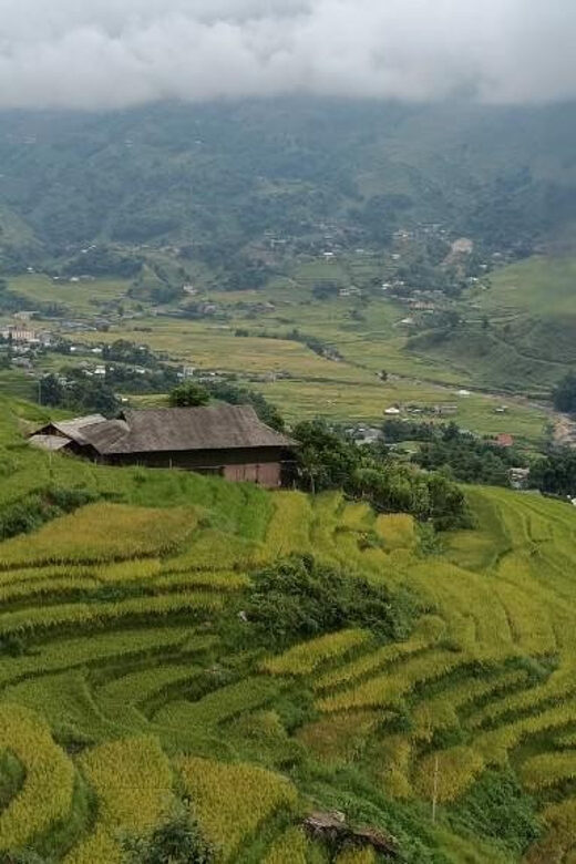 Half Day Visit Y Linh Ho,Lao Chai,Ta Van Trekking With Lunch - Value and Practical Tips