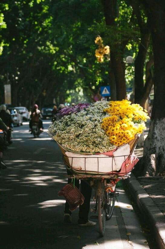 Hanoi Jeep Adventure: A Cultural Journey - Analyzing the Value and Suitability