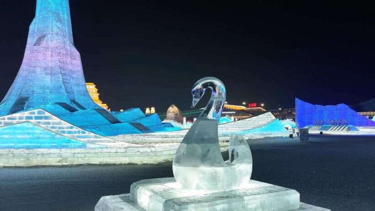 Harbin Ice and Snow Fairyland Private Day Tour - Practical Tips for Enjoying This Tour