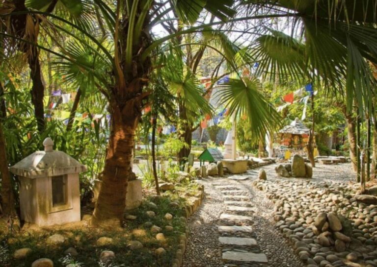 Heritage & Cultural Trails of McLeodGanj Guided Walking Tour - A Step-by-Step Breakdown of the Itinerary