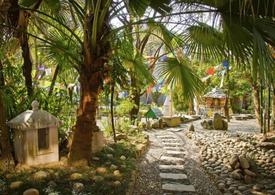 Heritage & Cultural Trails of McLeodGanj Guided Walking Tour - A Step-by-Step Breakdown of the Itinerary
