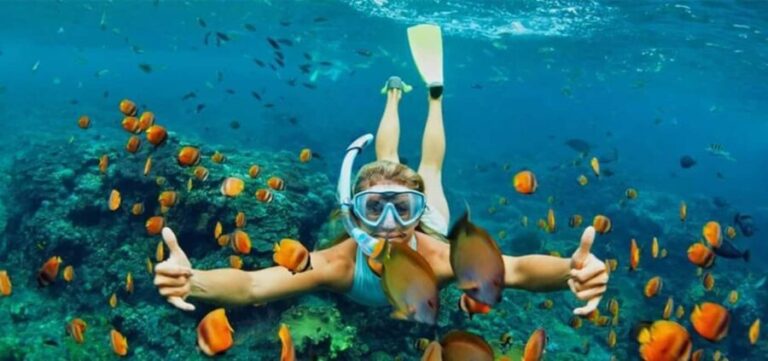 Hoi An/Da Nang: Cham Islands Snorkeling by Speedboat w Lunch - Authenticity and Value