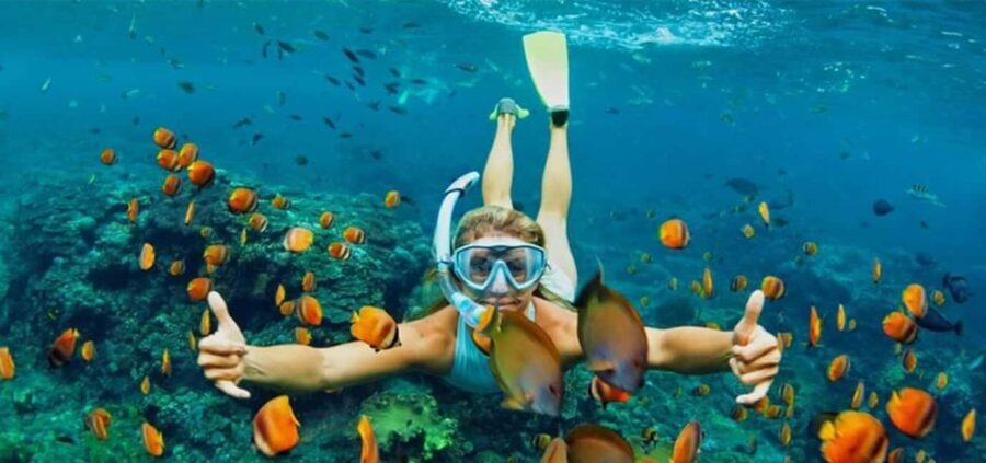 Hoi An/Da Nang: Cham Islands Snorkeling by Speedboat w Lunch - Authenticity and Value