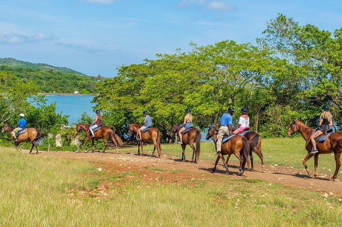 Horseback Ride and Swim from Ocho Rios - A Closer Look at the Horseback Ride and Swim Experience