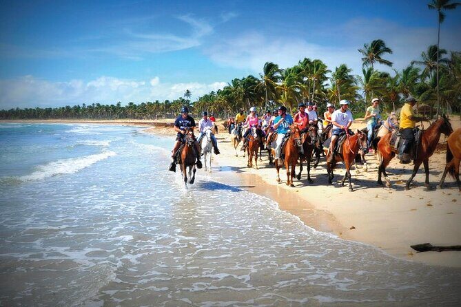 Horseback Riding along the Beach - What to Expect During the Ride