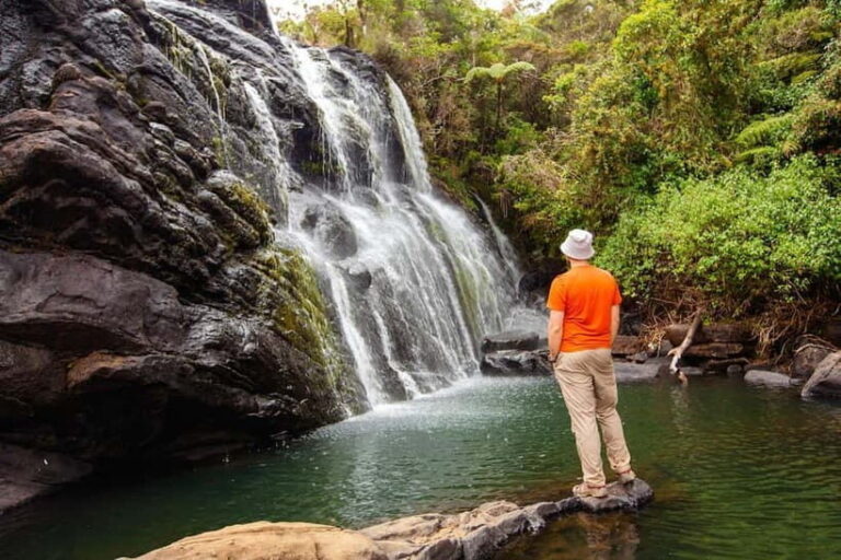 Horton Plains National Park From Nuwara Elia Tuk Tuk Tour - The Sum Up