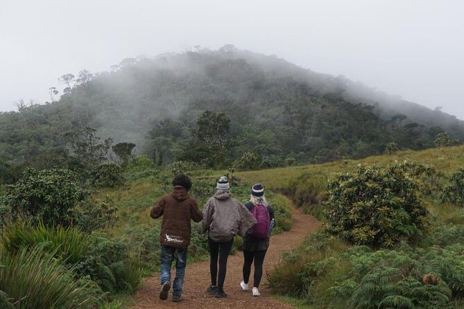 Horton Plains National park - Who Should Book This Tour?