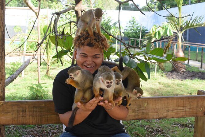 Interaction with Monkey Tour & city tour in Puerto Plata - The Monkey Experience: Playful Encounters