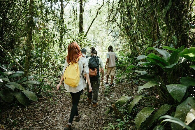 Jakarta Rainforest Hiking to Hidden Waterfall & Suspension Bridge - Stop 2: Curug Sawer Waterfall