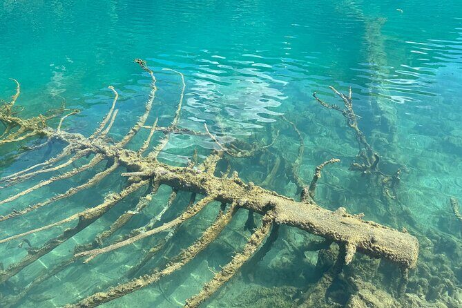 Jiuzhaigou National Park Tickets Booking - Why This Ticket Offers Good Value