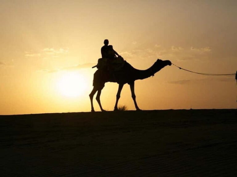 Jodhpur : Jeep Safari, Camel Ride,Buffet Dinner & Folk Dance - Is it Worth the Price?