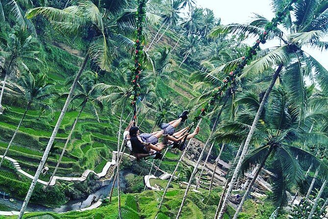 Jungle Swing & White Water Rafting Experience - Why You Should Consider This Tour