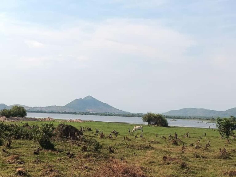 Kampot-Phnom Penh include Pepper farm Tour, Salt field, Lake - What to Expect at Each Site
