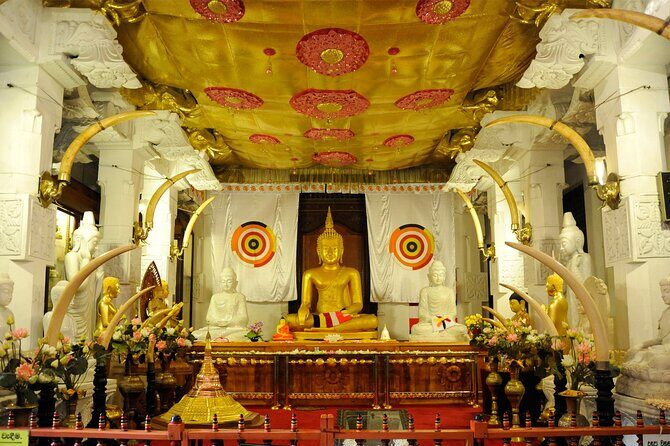 Kandy City Sightseeing Tour by Tuk Tuk - A Closer Look at the Tour Experience