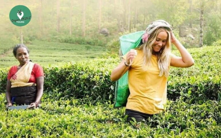 Kandy: Nuwara Eliya Day Explore by Tuk tuk with Local Guide - Practicalities and Value