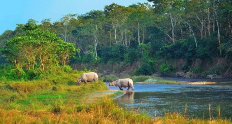 Kathmandu: 4-Day Private Chitwan National Park Safari Tour - Key Highlights of the Tour
