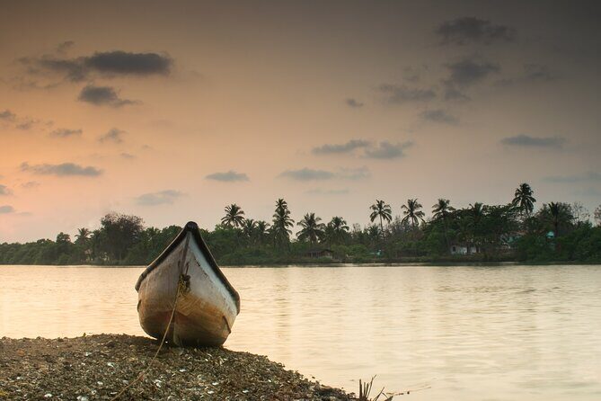 Kerala 6 Day Tour Munnar Thekkady Alleppey Kovalam Beaches - What the Reviews Say