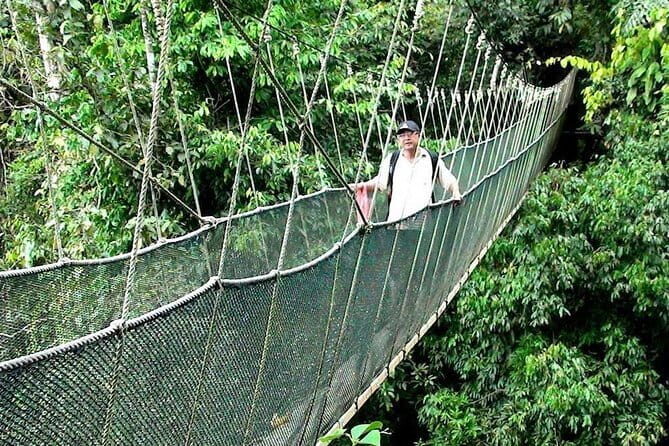 Kinabalu National Park Tour - The Practicalities and Value