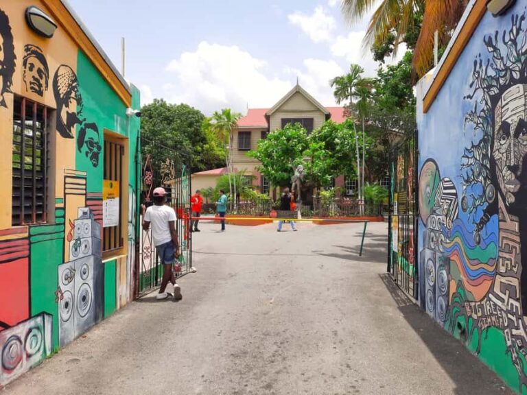Kingston: Bob Marley Museum Tour from Kingston - Who Should Consider This Tour?