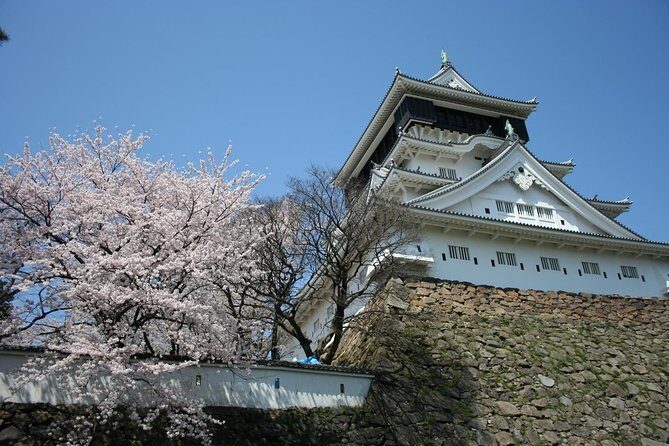 Kitakyushu Half-Day Private Trip with Government-Licensed Guide - Final Thoughts