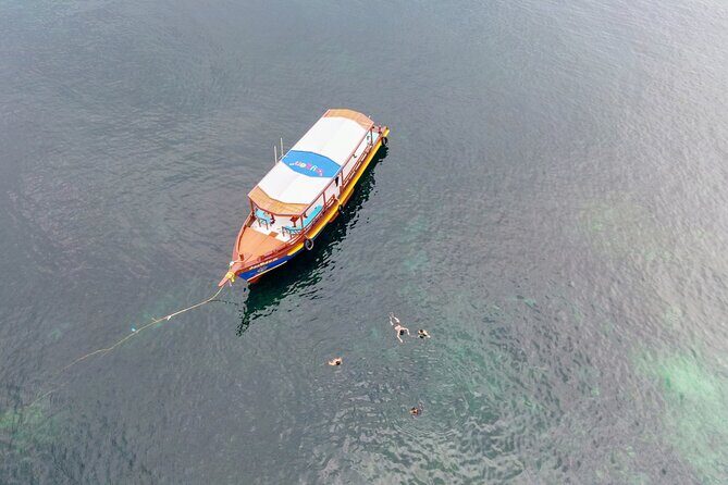 Koh Tao's First Light Snorkel Adventure with Oxygen Tours - Authentic Experiences and What Reviewers Say