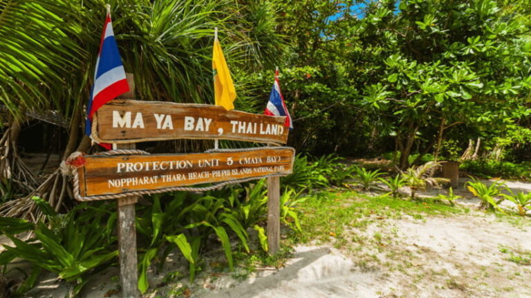 Krabi Phi Phi & Bamboo Island One Day Tour By Speed Boat - The Experience: What the Tour Looks Like