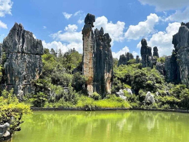 Kunming: Stone Forest, Roast Duck Lunch and City Tour - A Feast in Yiliang: Roast Duck and Local Flavors