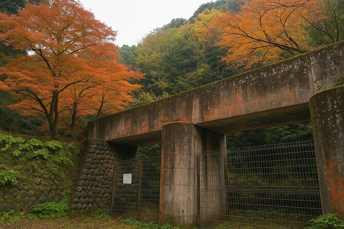 Kyoto Highlights Eastern Western Northern and Southern Routes - FAQ