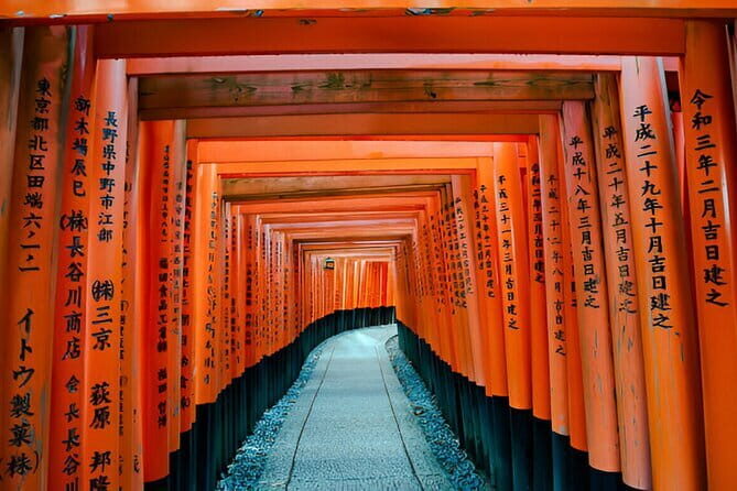 Kyoto Highlights Private Tour with Pick and Drop - The Experience: What You’ll Actually Get