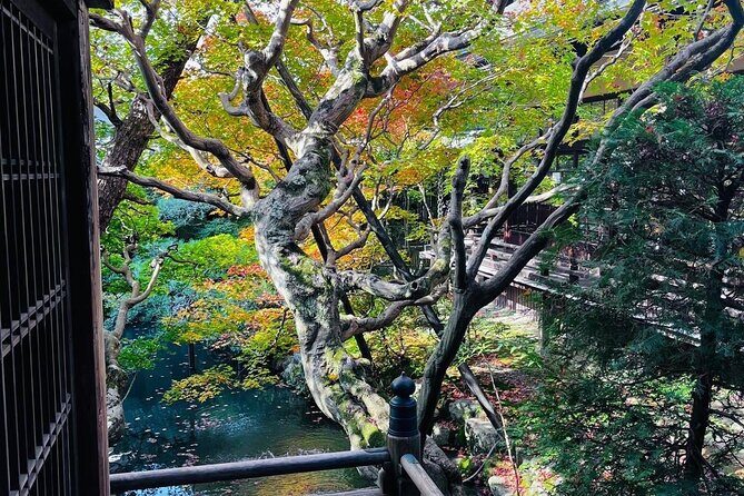 Kyoto Private & Customizable Tour with English-Speaking Driver - The Practical Side: Transportation, Timing, and Flexibility