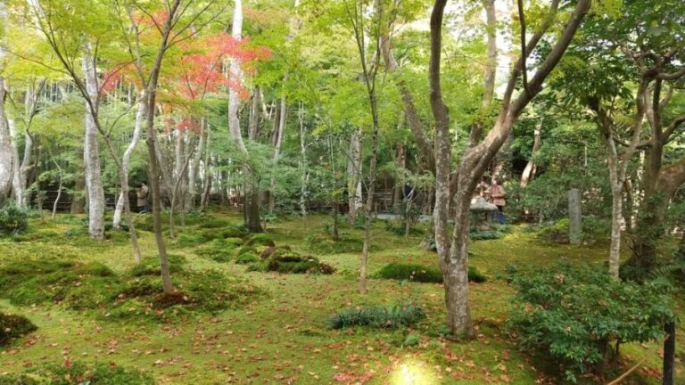 Kyoto: Quiet Arashiyama and Sagano Temples Guided Tour - What You Can Expect