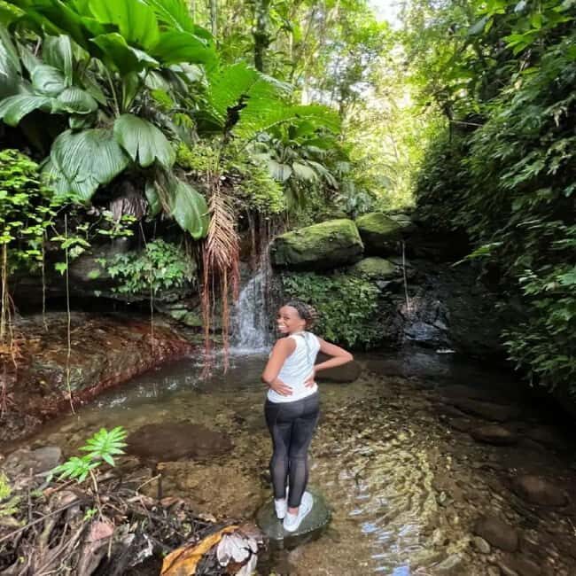 Lawyer Stephen Hike with Waterfall and Cave Hike - What to Expect Along the Trail