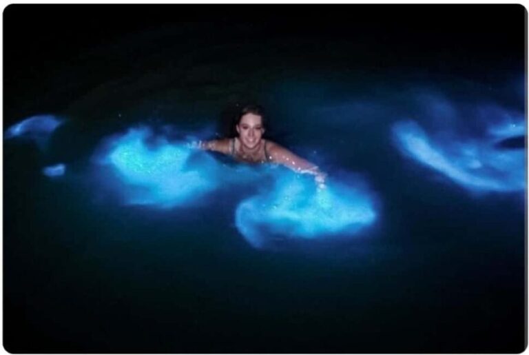 Luminous Lagoon Experience: Ocho Rios Runaway Bay & Falmouth - The Balance of Value and Authenticity