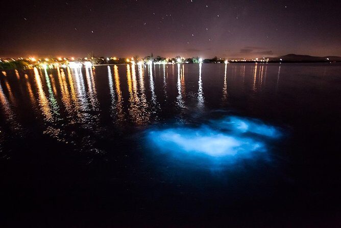 Luminous Lagoon Experience - Who Will Love This Tour?