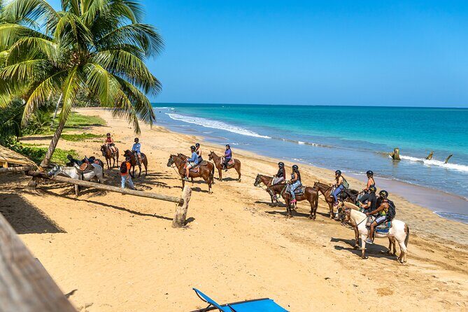 Luquillo Beach Horse Ride from Carabalí Rainforest Adventure Park - Authentic, Fun, and Educational Experience